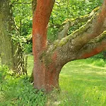 Biohof Buschmuehle Konigsfeld (Mittelsachsen)