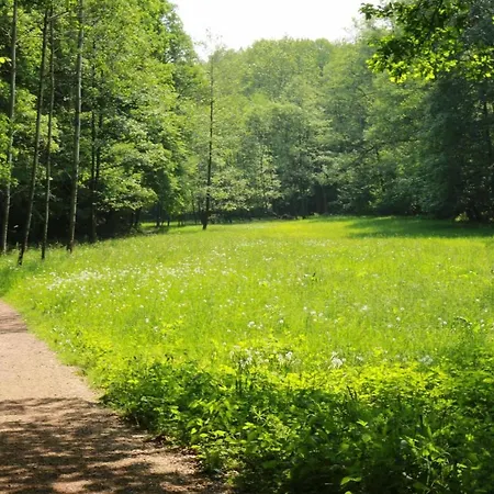 Biohof Buschmuehle 아파트 Konigsfeld (Mittelsachsen)