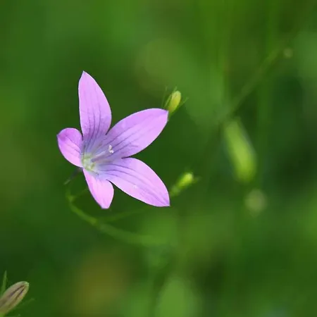 Biohof Buschmuehle 아파트