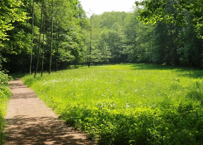 Biohof Buschmuehle דירה Konigsfeld (Mittelsachsen)
