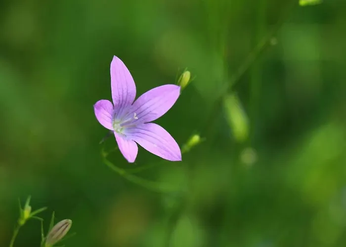 Biohof Buschmuehle 아파트