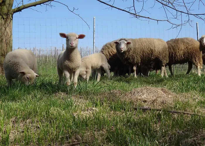 Biohof Buschmuehle * Konigsfeld (Mittelsachsen)