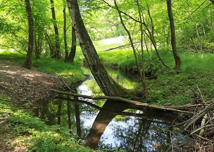 Biohof Buschmuehle * Konigsfeld (Mittelsachsen)